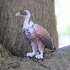 Oenux Forest Bird Animals Wild Ostrich Magpie Owl Crow Flamingos Figurines Action Figure PVC Garden Decoration Miniature Kid Toy