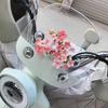 Süßer 3D-Blumenaufkleber für Elektrofahrzeuge & Motorraddekoration - Passt für Ninebot, Aima, Yadea