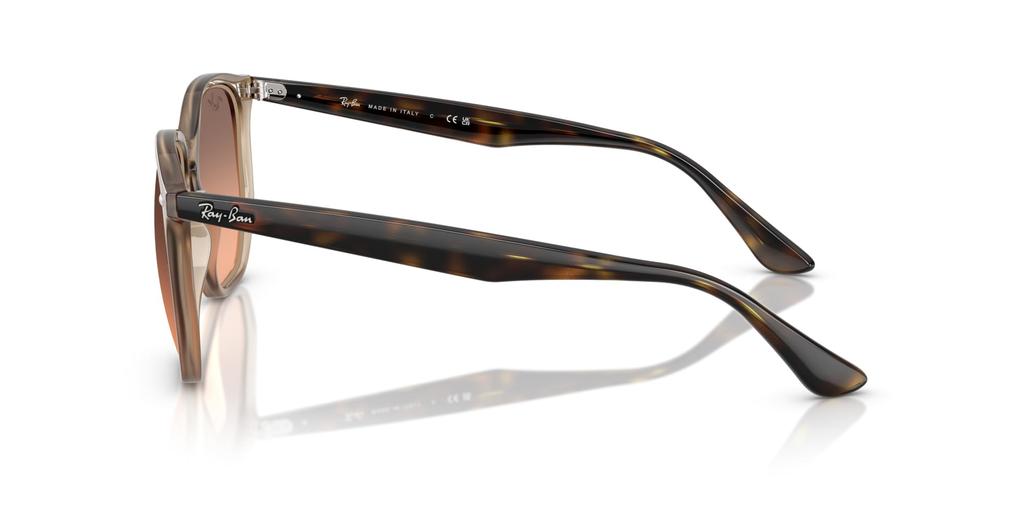 Sunglasses 0RB4306F TORTLEDOVE 54 Ray-Ban