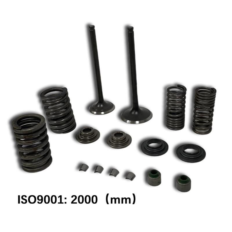 Heavy Duty Engine Valves For CBF150 XR150 KTT150 SDH150 Bikes Reduced Wear Construction With Enhancing Heat Resistance