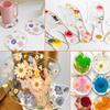 104Pcs Pressed Dried Flowers Set Real Natural Pressing Floral Leaves DIY Multipurpose Real Pressed Flowers Dry Leaves Kit
