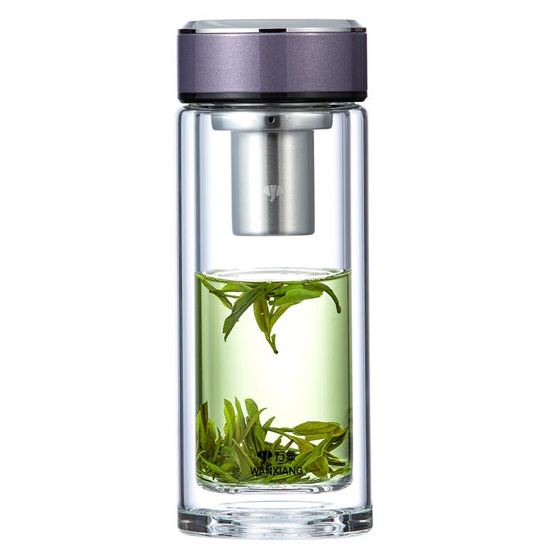 Double Wall Glass Tea Infuser Bottle