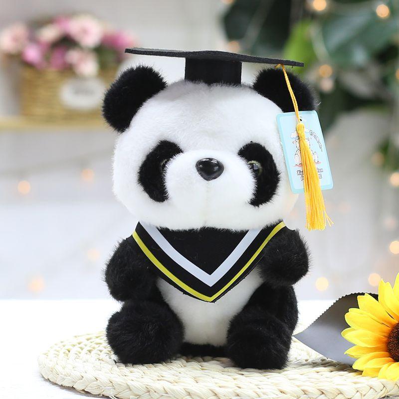 Student Graduation Dr. Child Panda Doll Doll Plush Toy Doll Student Graduation Gift