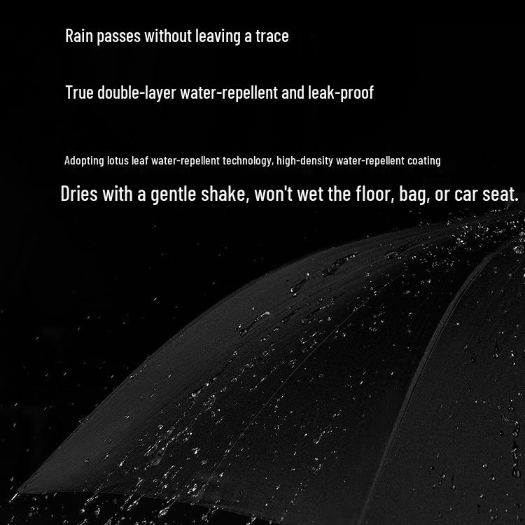 Extra Large Double Layer Automatic Umbrella for Two, Reinforced Long Handle, Stormproof and Sturdy