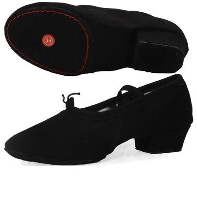 Scarpe da Ballo Morbide in Tela con Tacco Basso per Insegnanti, Ballroom, Salsa, Tango, Balletto, Bambini, Ragazze, Donne