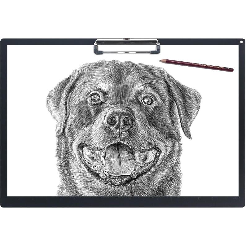 Acocony 11x17 Clipboard Landscape with Ruler Extra Large Clipboard Low Profile Clip 11 x 17 Clipping Board Plastic Black Pack of 1