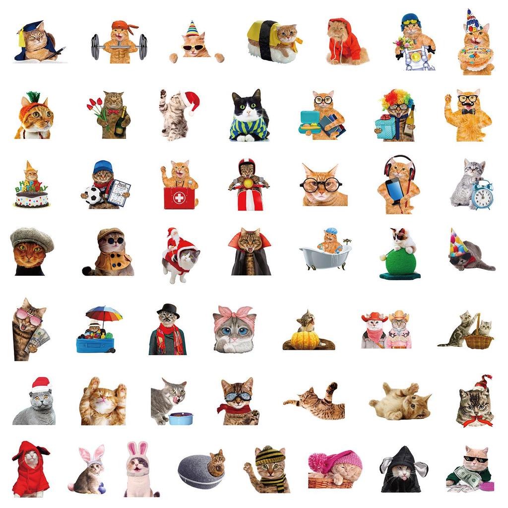 50 Cat Stickers Set for DIY Decoration: Water Bottles, Phone Cases, Notebooks, Desktops