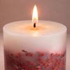 Berry Blush Botanical Candle, 70 Hour Burn Time | | Handcrafted with Natural Botanicals