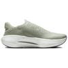 Nike Reina EasyOn Jade Horizon Women Sneakers Green Light-Silver Summit-White FN0345-300