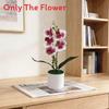 No Ip Artificial Orchid Plant With Plastic And Soft Gel For Home Decor And Photography Props