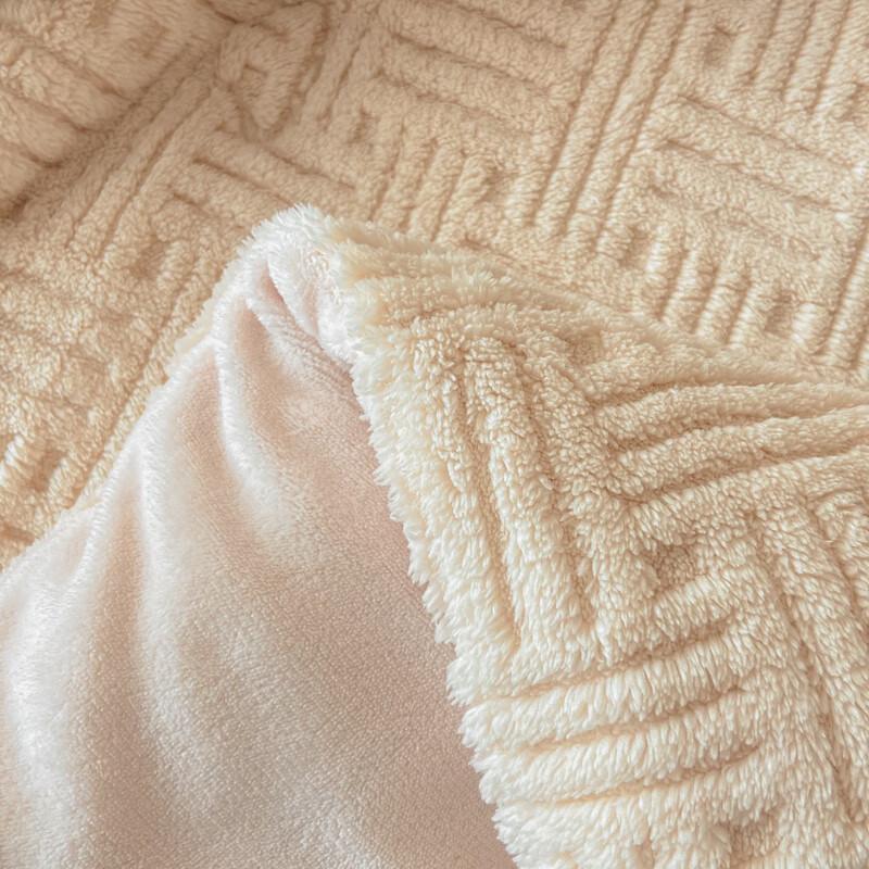 Thickened Taffeta Milk Velvet Winter Duvet