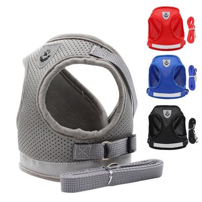 Chiens – Colliers et laisses pour chiens