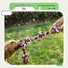 Durable Five-Knot Chew-Resistant Cotton Rope Toy for Large Dogs