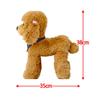 Red Puppy Dog Poodle 35 X 38 Cm, Dark Brown, 1 Piece
