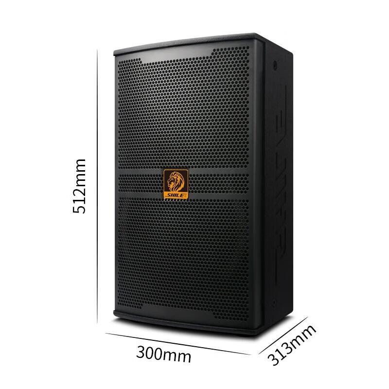 SHILE 10-inch Professional Stage Speaker