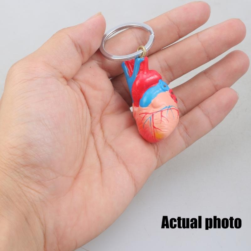 Porte-clés Imprimé en 3D Pendentif Structure Cardiaque Réaliste Outil d'Apprentissage Compact pour Salles de Classe Démonstrations Cliniques