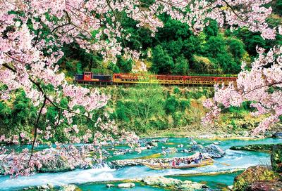 BEVERLY In Beverly 300 Piece Jigsaw Puzzle Cherry Blossom Hozu Gorge X 38 [Made Japan] (26 Cm) 300-007