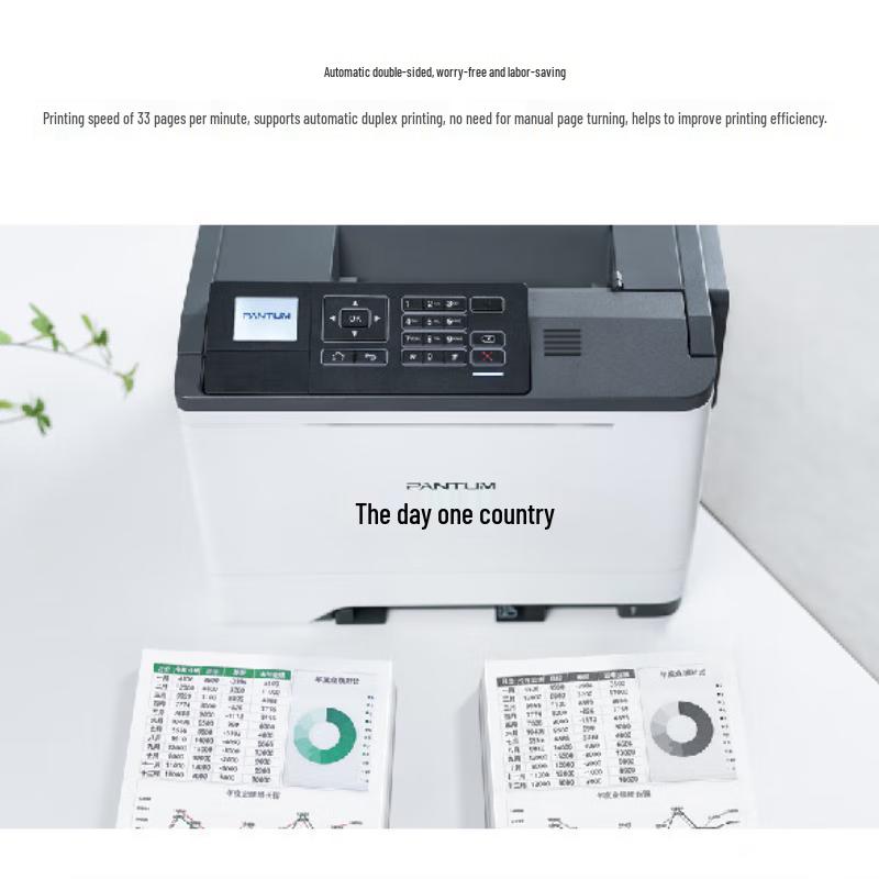 Pantum Professional Laser Printing & Imaging Solutions CN Plug (adapter Included)