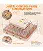 56 Eggs Fully Automatic Incubator Automatic Egg Turning Temperature Control Incubator for Poultry Egg with LED and Double Power