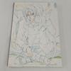 [USED] Bungo Stray Dogs Original Art Collection - Volume 2 -