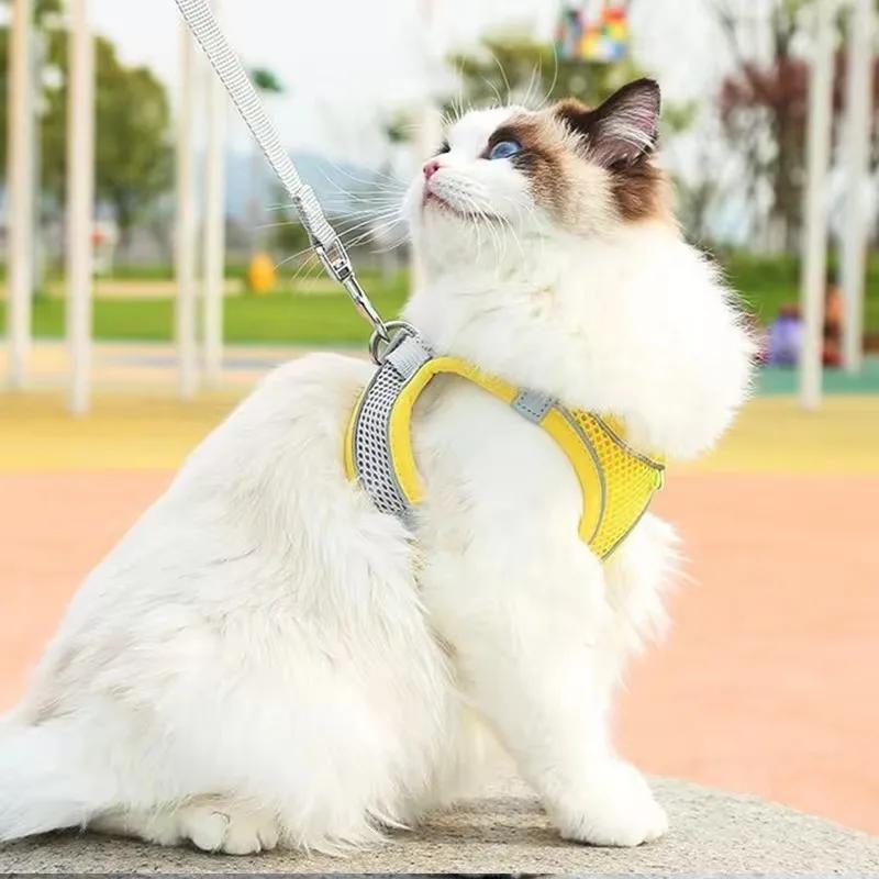 Cat Harness and Belt Set Breathable Accessories for Cats Pet Products Necklace Collar Pets Supplies Home Collars Things Cats