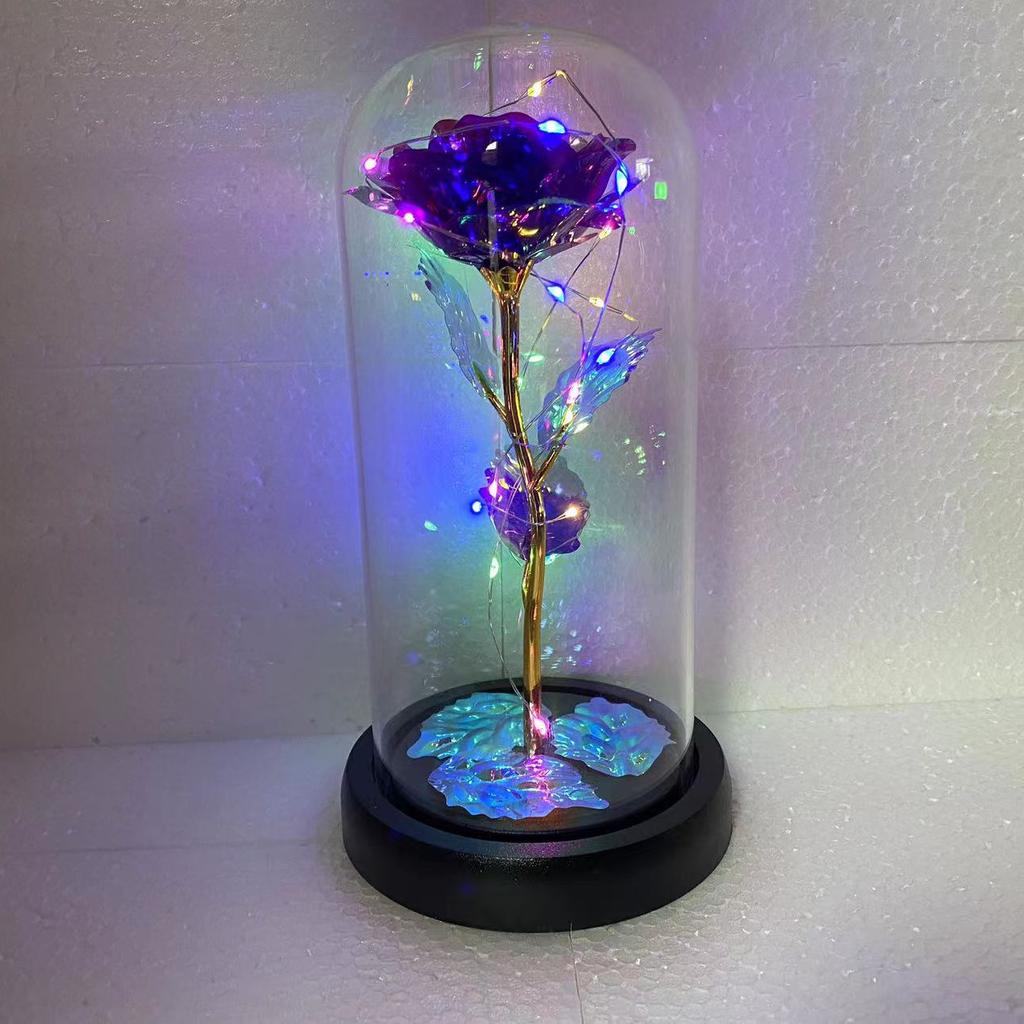 Creative Valentine's Day Gifts Rose Glass Cover Night Light Ornament Scene Arrangement Lighting Eternal Flower Glass Cover