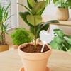 Heart Shape Watering Bulb Planter Insert Clear Self Watering Bulb Slow Release Automatic Plant Watering Device for Houseplants Outdoor Plants