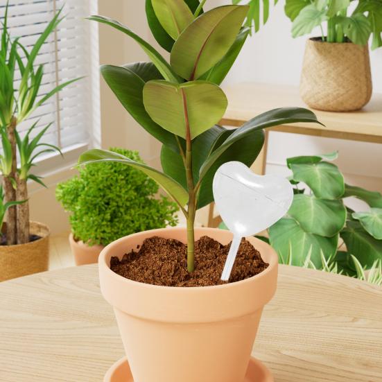 Heart Shape Watering Bulb Planter Insert Clear Self Watering Bulb Slow Release Automatic Plant Watering Device for Houseplants Outdoor Plants
