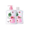 Dettol Moisturizing Antibacterial Hand Soap