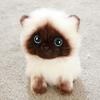 Cute Siamese Cat Plush Toy Soft Stuffed Animal Blue Sequins Eyes Brown White Face Decor Christmas Birthday New Year Present