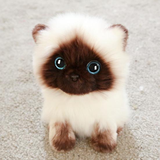 Cute Siamese Cat Plush Toy Soft Stuffed Animal Blue Sequins Eyes Brown White Face Decor Christmas Birthday New Year Present
