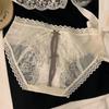 French Satin Lace Panties - Sheer, Seamless, Sexy Thongs for Women