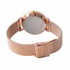 Skagen Women's HALD Watch SKW2714, Silver Dial, Rose Gold Mesh, Stainless Steel