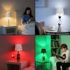 USB Charge Bottle Table Lamp Touch Control of 3 Colors and Stepless Dimming Night Lamp Suitable for Bar Wine Bottles Desk Lights