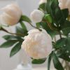 5 Stück Künstliche Pfingstrose mit je 2 Blütenköpfen, Heimhochzeit Weiche florale Fotorequisiten Ornamente Fortgeschrittener Sinn Simulations-Pfingstrosen-Bouquet
