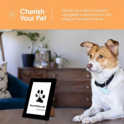 Hunde – Hundepflege-Artikel