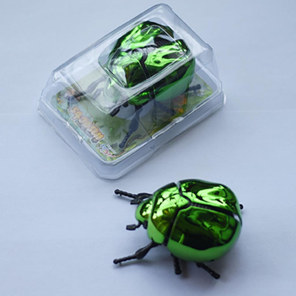 Simulation Beetle Wind Up Toy Stress Relief Crawling Insect For Kids Adult Educational Science Exploration Learning Toy