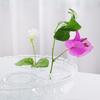 Hydroponic Floral Arrangement Holder Transparent Acrylic Desktop Decoration Multifunctional Container
