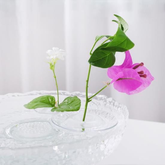 Hydroponic Floral Arrangement Holder Transparent Acrylic Desktop Decoration Multifunctional Container