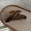 1Pc Elegant Vintage French Hair Clip Two-Tone with Wood Grain & Marbled Design Perfect for Casual Daily Dressing Cute Hair Clips