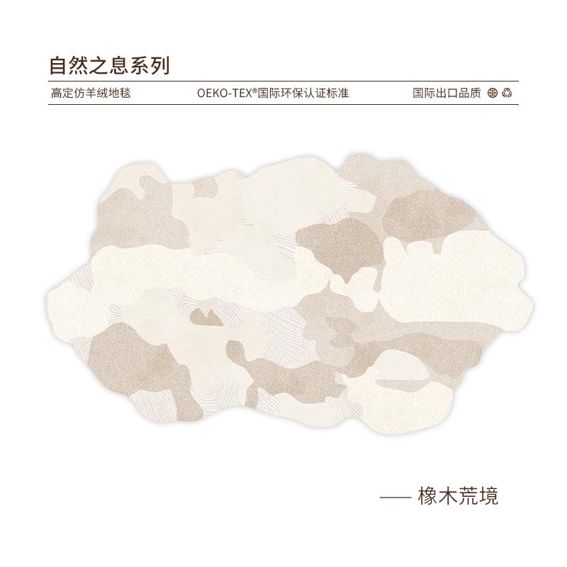 

Light Luxury Living Room Decoration Carpet Art Design Rugs for Bedroom Fluffy Soft Irregular Shape Rug Home Thickened Floor Mat 80*120cm