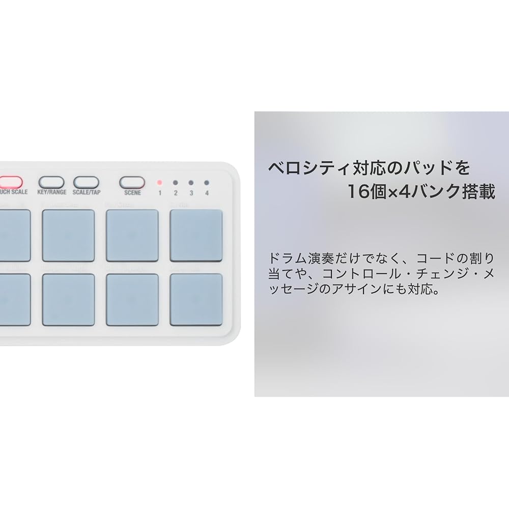 KORG Classic USB MIDI Controller, NanoPad2 WH, White, Velocity Compatible, 16 Pads, DTM, Compact ...