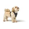 Dog Harness Hunter DIVO UP Black L