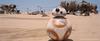 Star The Force Awakens MovieNEX Wars [Blu-ray]