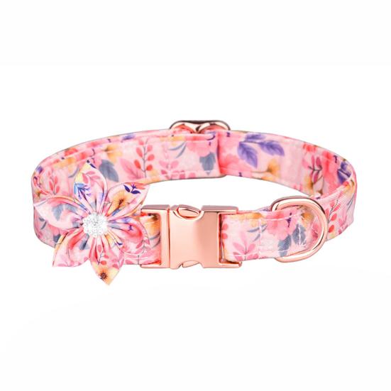 beautiful dog collars