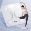 Smart Body Fat Scale (CN Version)