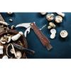 Steel mushroom knife