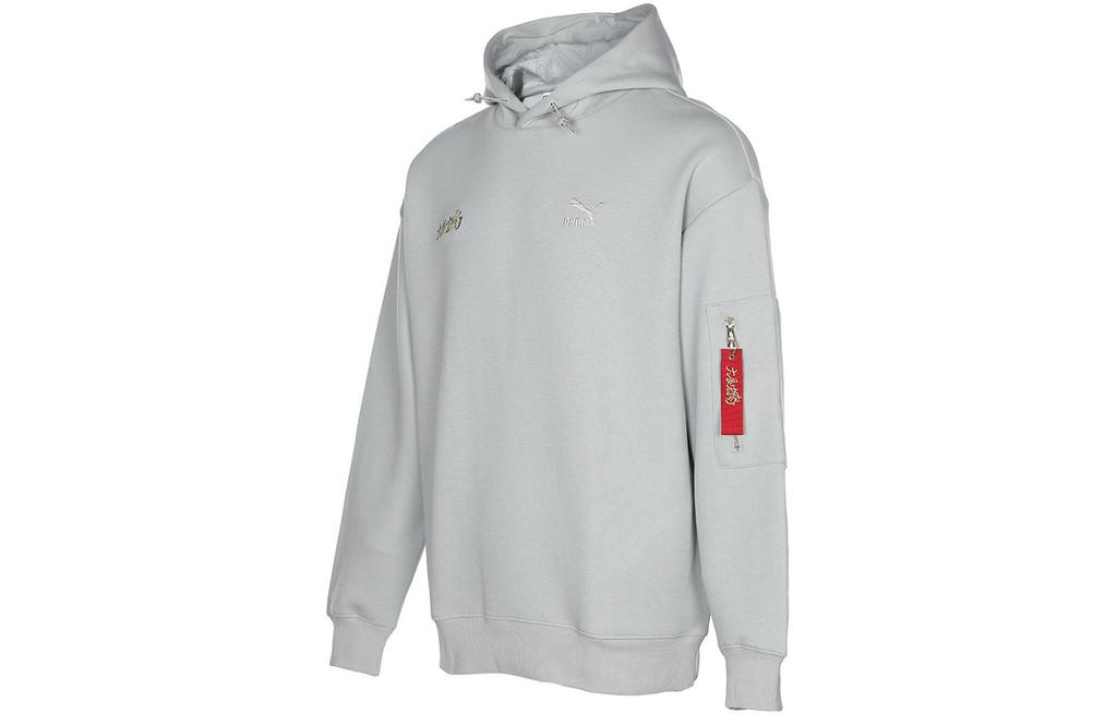 Men's PUMA Sweatshirts Men's Gray Hooded Moderate Regular