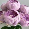 Artificial Peony Silk Flowers Bouquet Fake Flowers Arrangement Vintage Wedding Decoration Home Decor 1 Bunch 7 Head