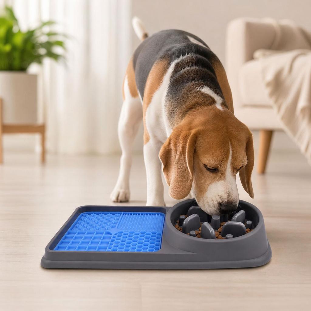 Dog Slow Feeder Bowl with Silicone Licking, -Spill Double Bowl for Dogs, 2-in-1 Pet Feeding Dish